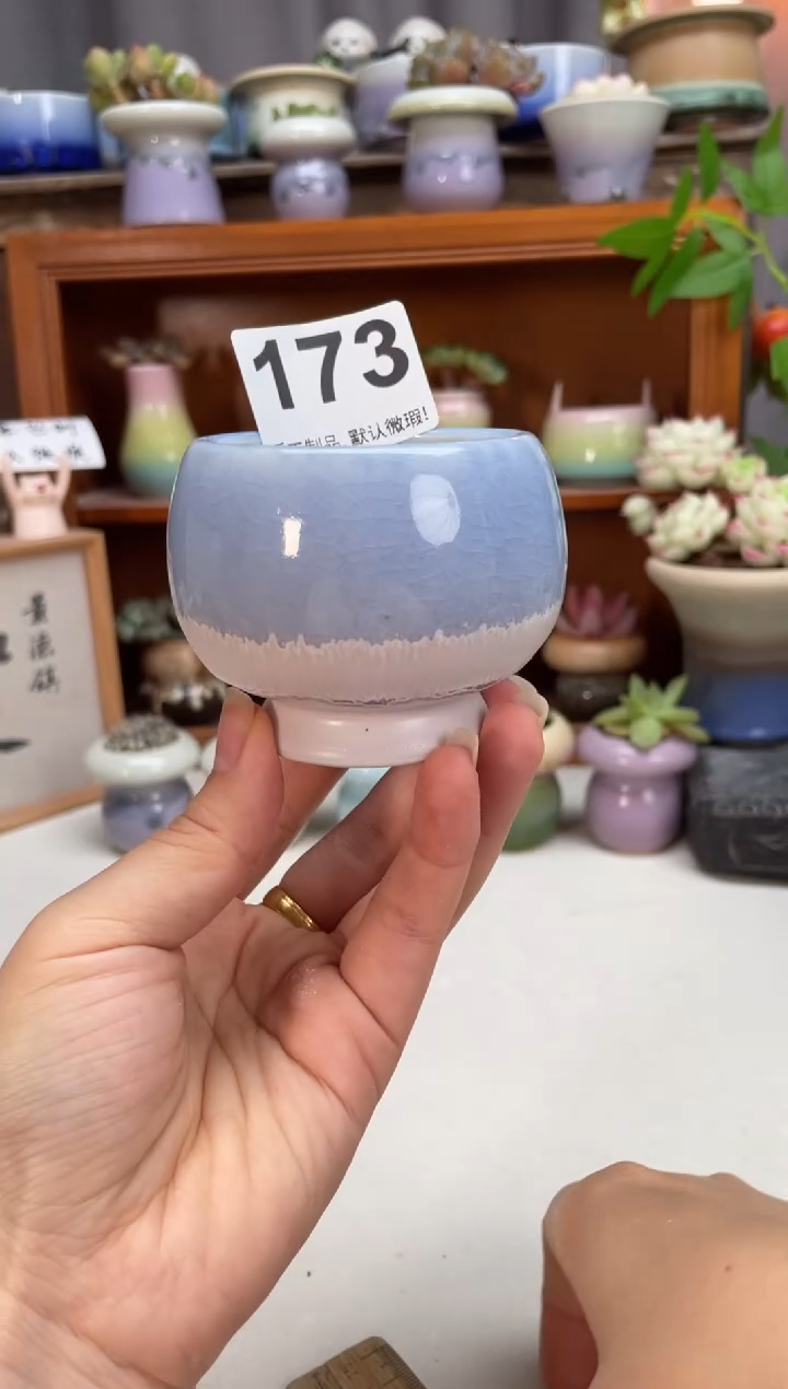 瓷片173知木小芳花盆