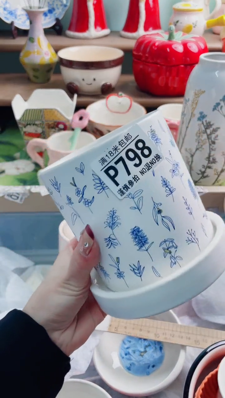 陶瓷椰***水P798*****