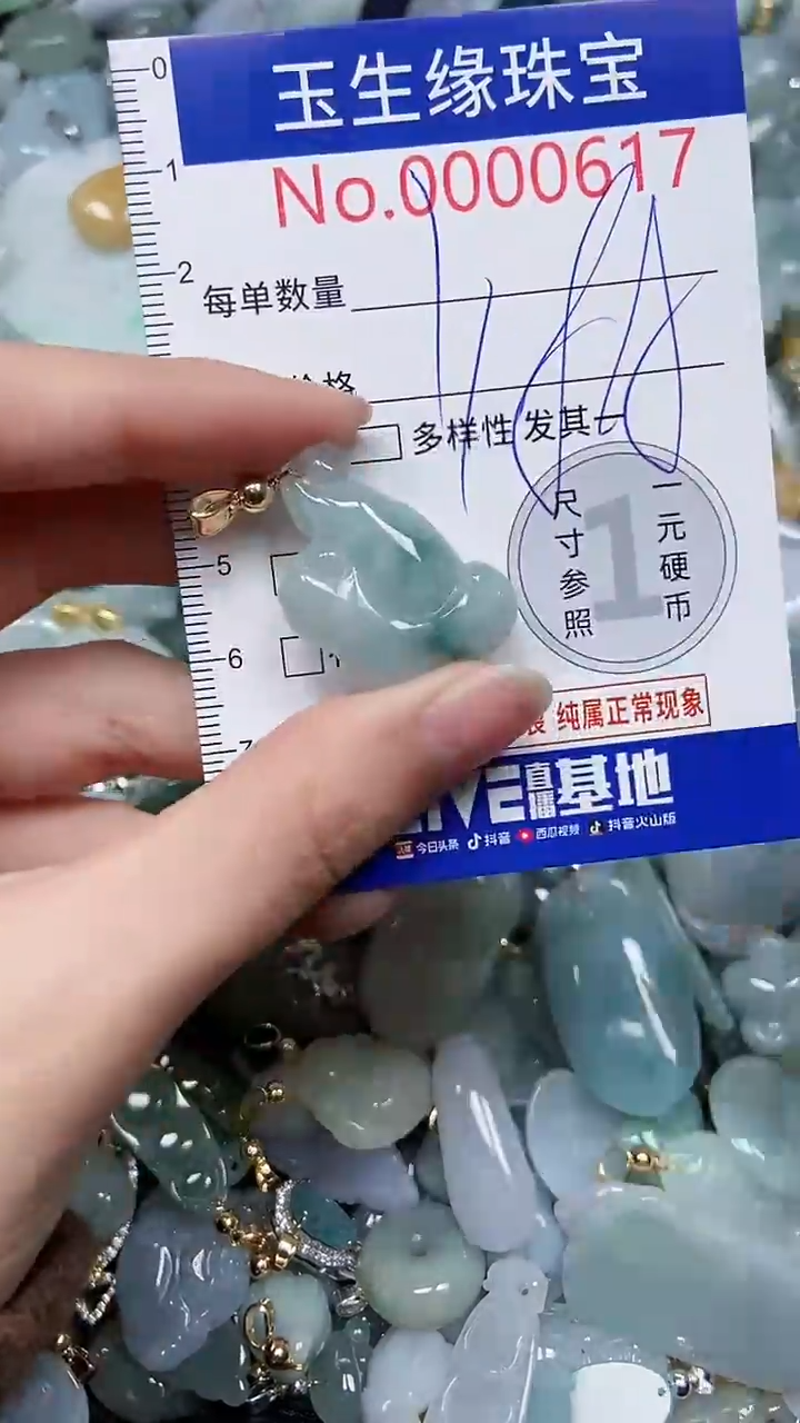 【闪购商品】翡翠颈饰未镶嵌闪购0000617