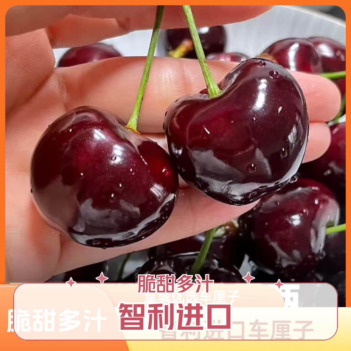 智利车厘子（2JDD）2.5斤/份海运（随机内附果径卡）桑提娜桑提娜智利