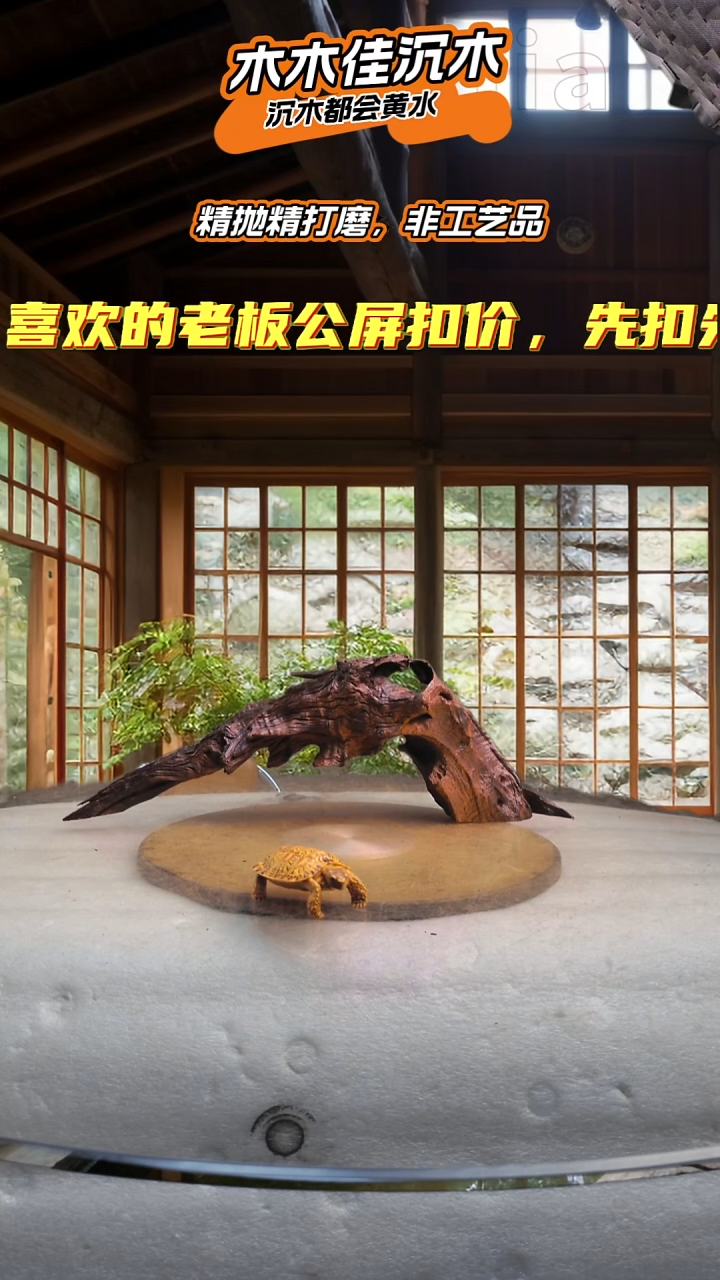 胥**影 木木佳沉木鱼缸造景872