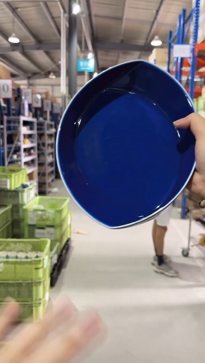 瓷リーヴズ　パスタプレート青