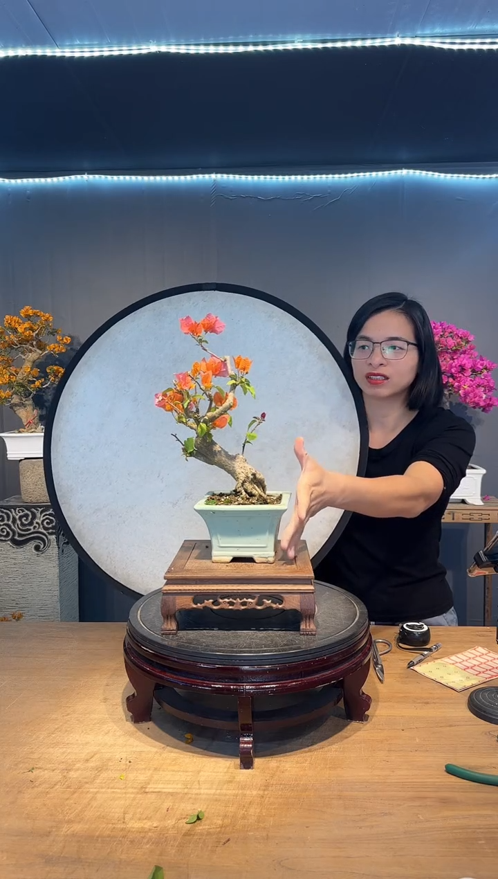 【闪购商品】妍而有磬   绿叶橙