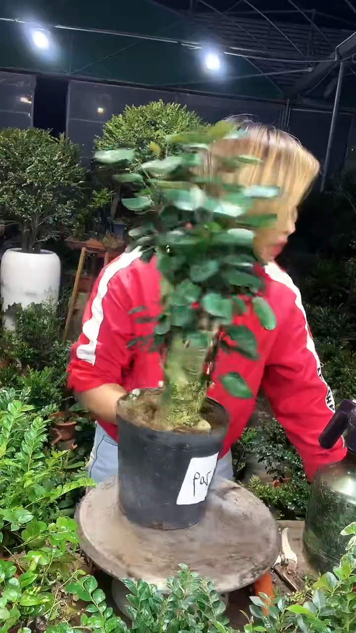 完全开放11111111