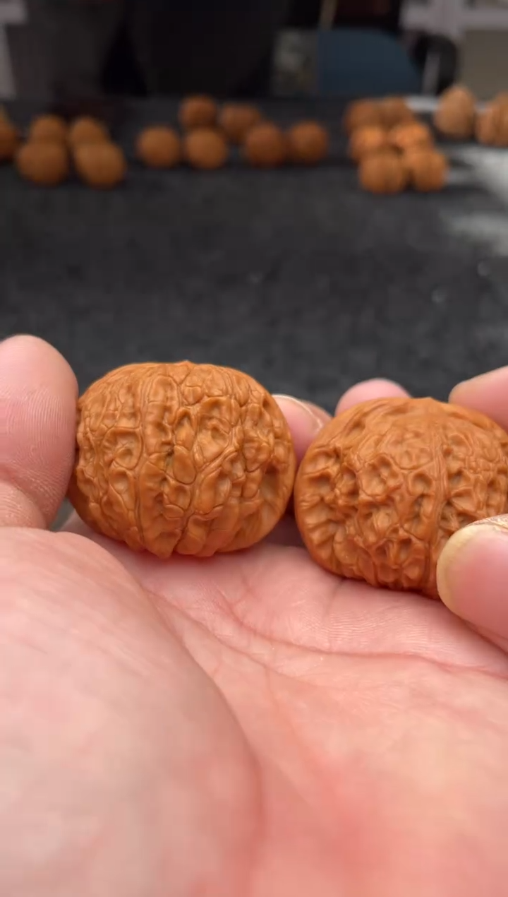 把件文玩核桃B140号40尺血麒麟
