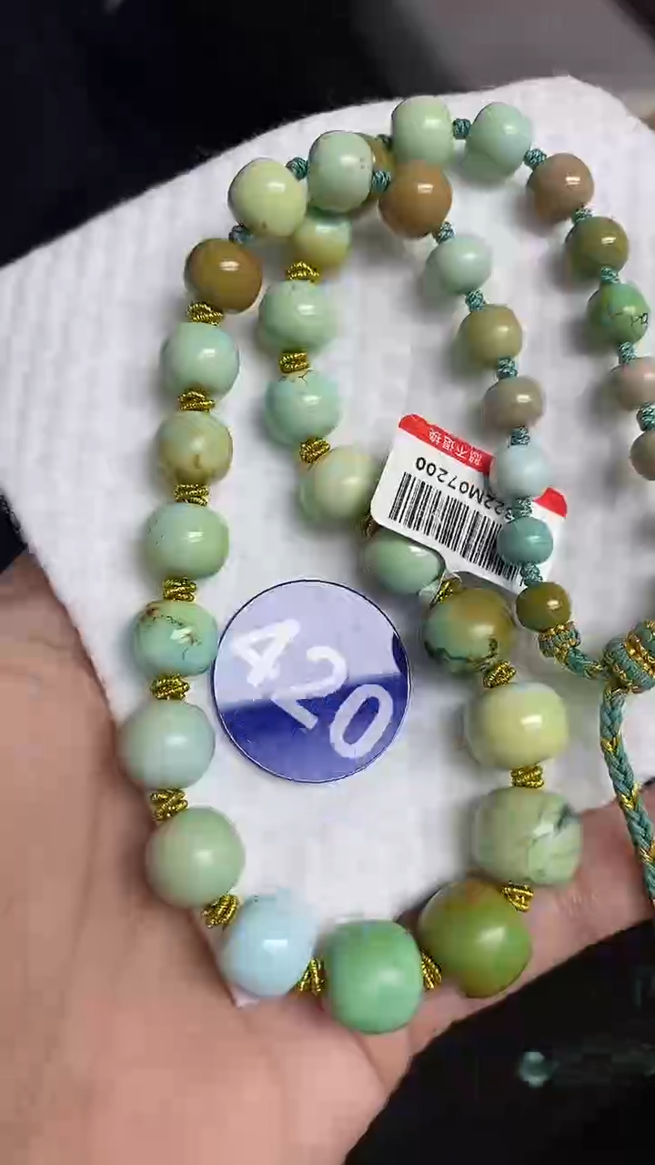 【闪购商品】绿松石项链未镶嵌420