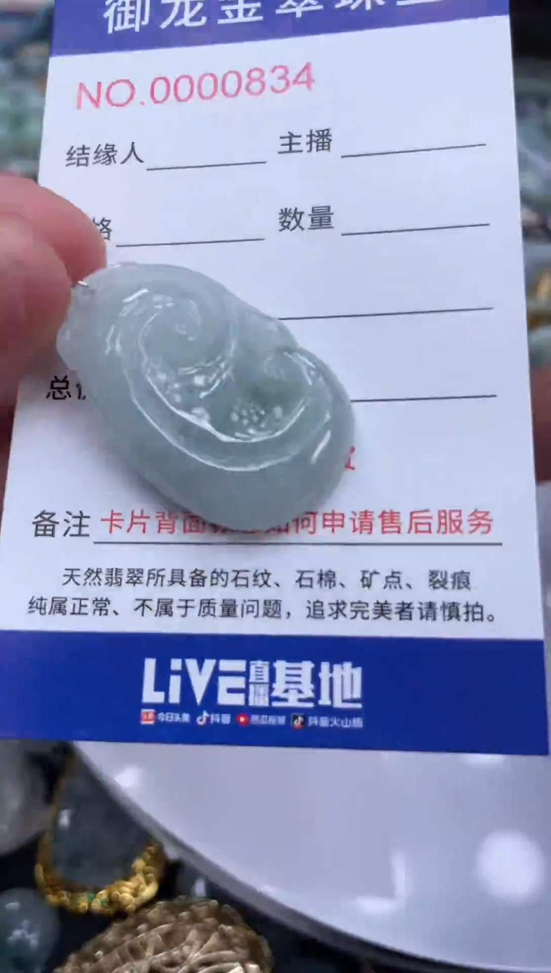 翡翠未镶嵌颈饰023