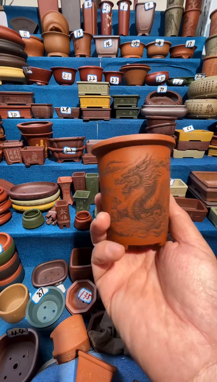 【闪购商品】紫砂紫砂花盆6.5*8.5