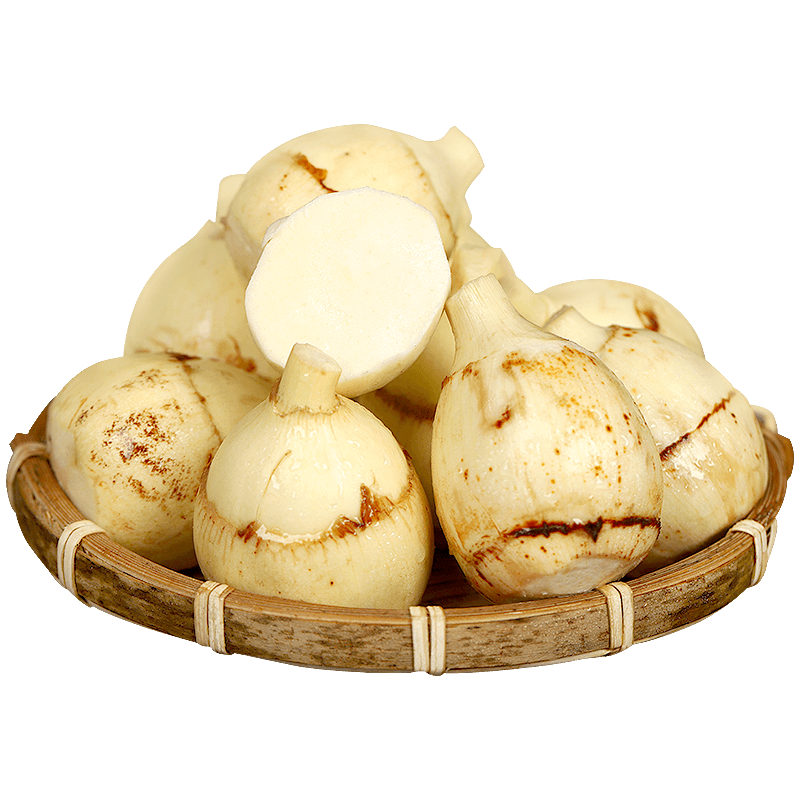  云南新鲜白慈姑茨菰茨菇白马蹄鲜慈姑粉糯荸荠新鲜蔬菜包邮
