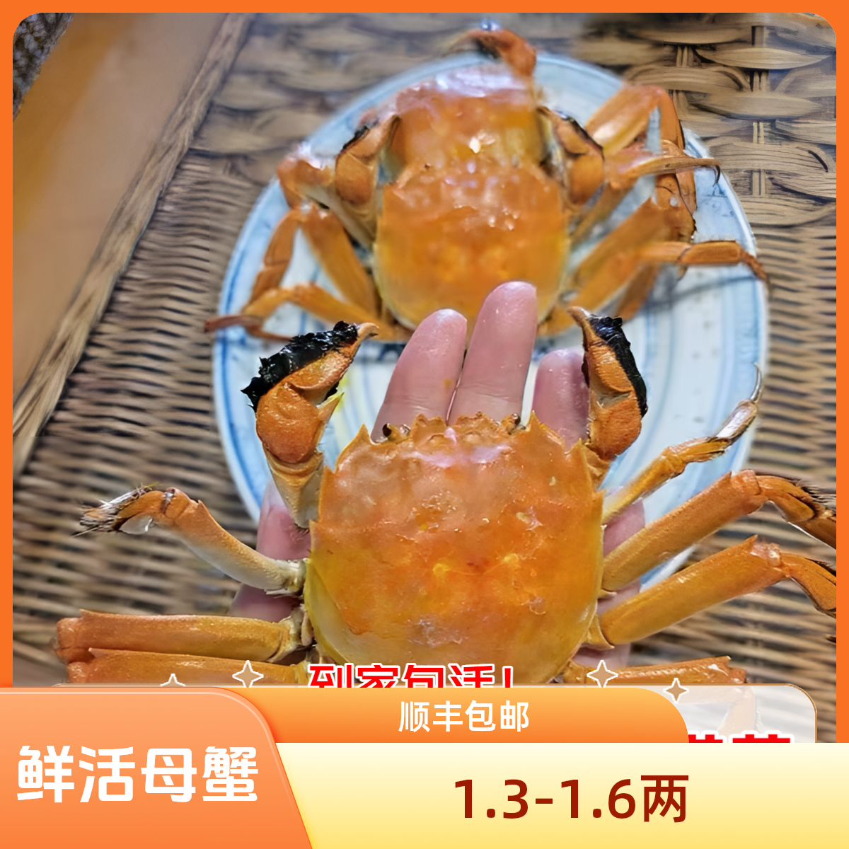 【活蟹】全母蟹   1.3-1.6两河蟹10只顺丰京东包邮