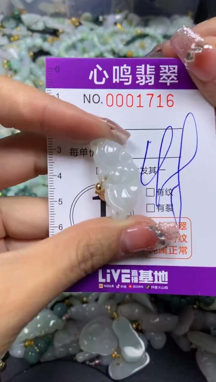 【闪购商品】翡翠颈饰未镶嵌闪购001716