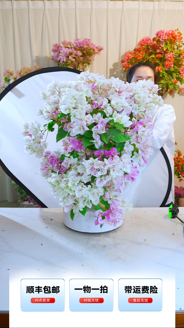 大部分开放少量花苞章红樱