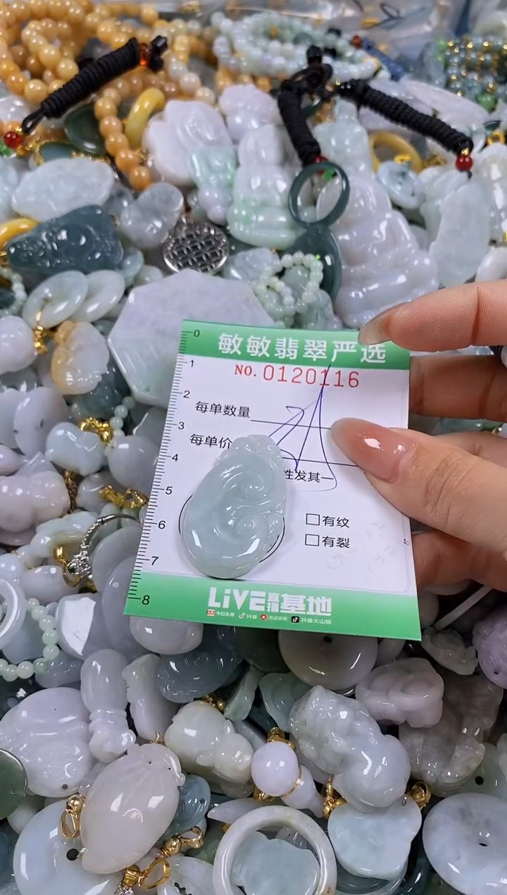 【闪购商品】翡翠颈饰未镶嵌闪购0120116多样性发其一