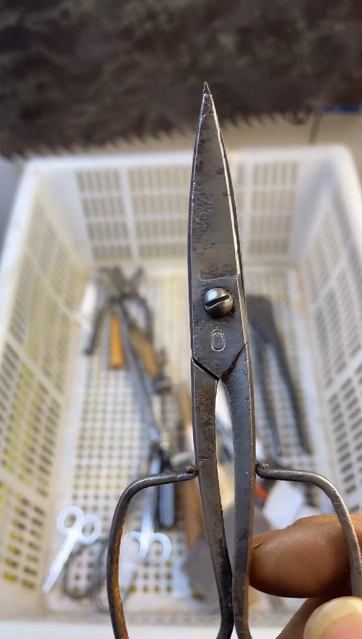 镁走***出老五工具工具工具