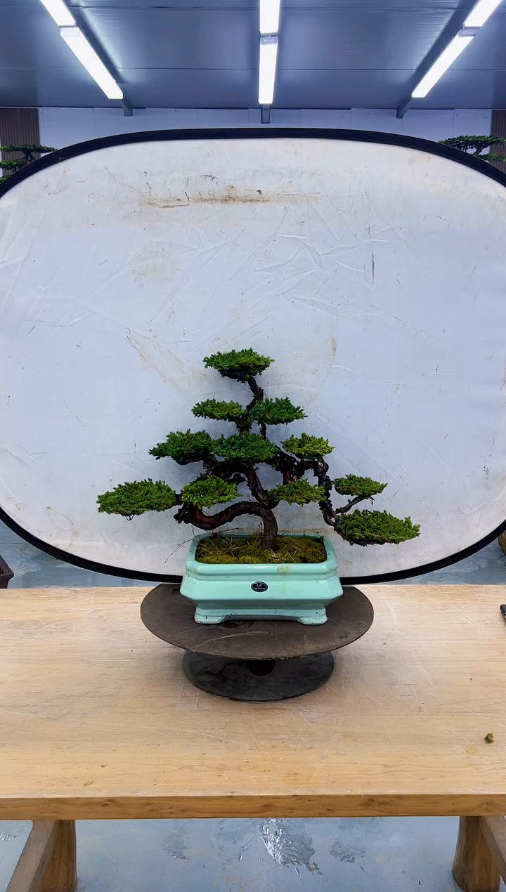 以实际为准00000000