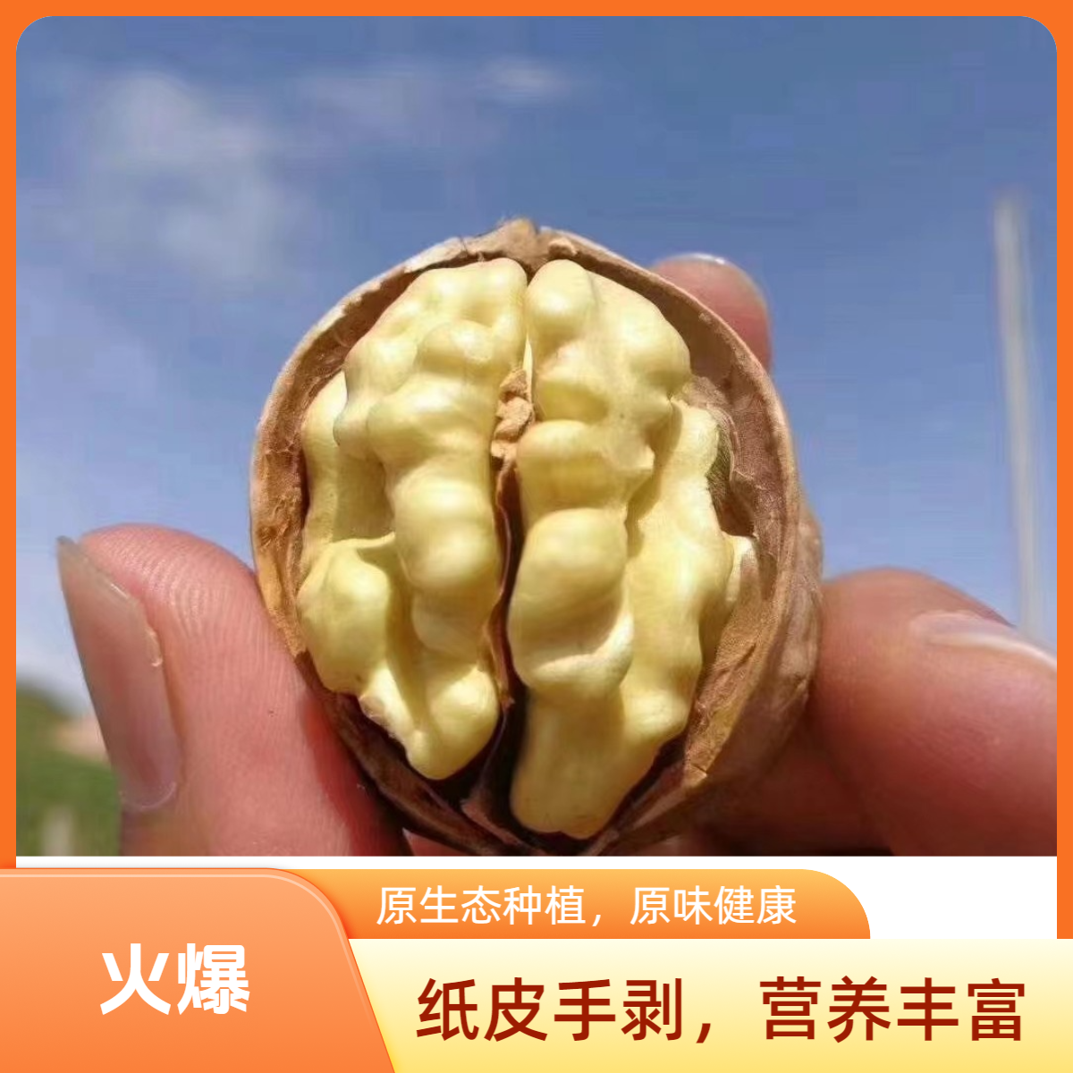 西域圣果新疆185纸皮核桃薄皮一袋500克原味手剥天然精品薄皮核桃
