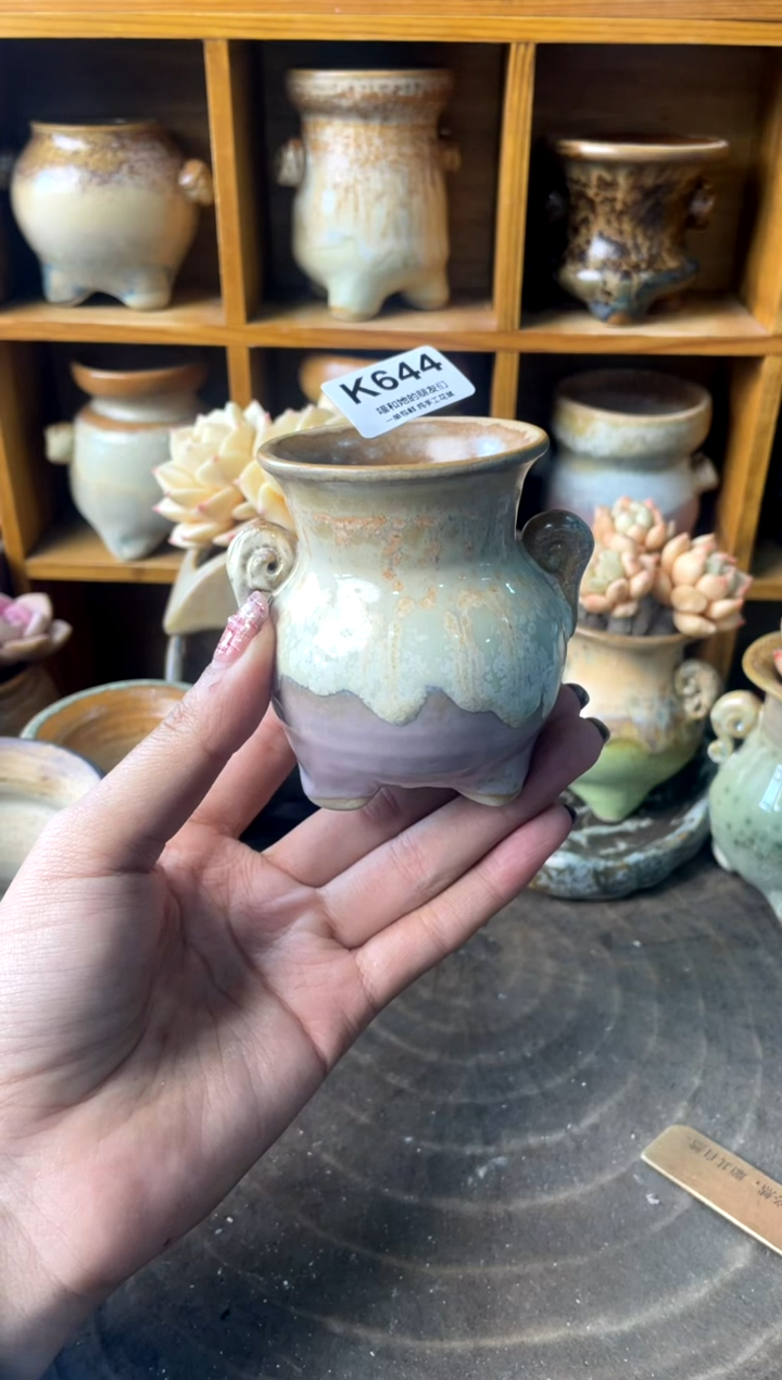 644【多肉花盆多肉盆】