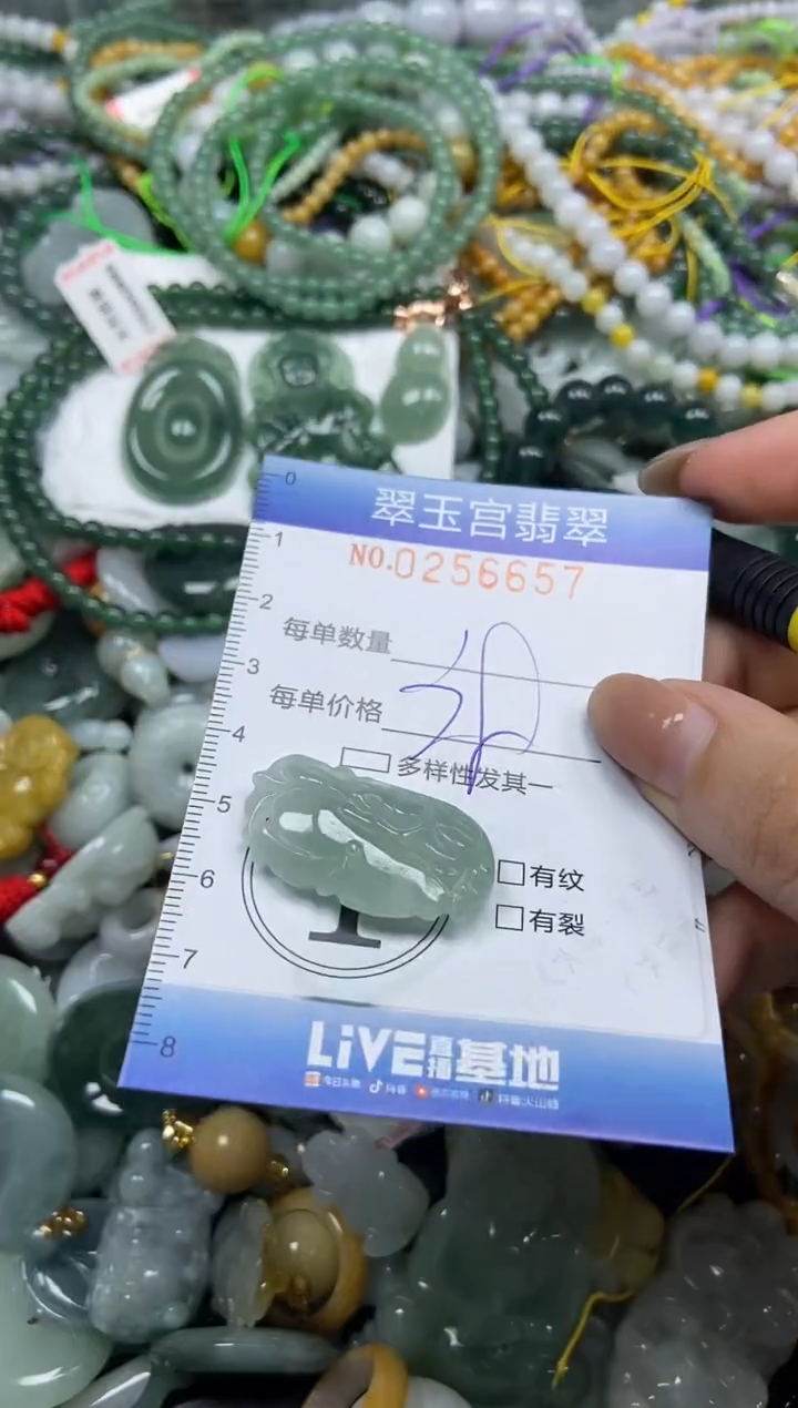 颈饰未镶嵌翡翠闪购C0256657