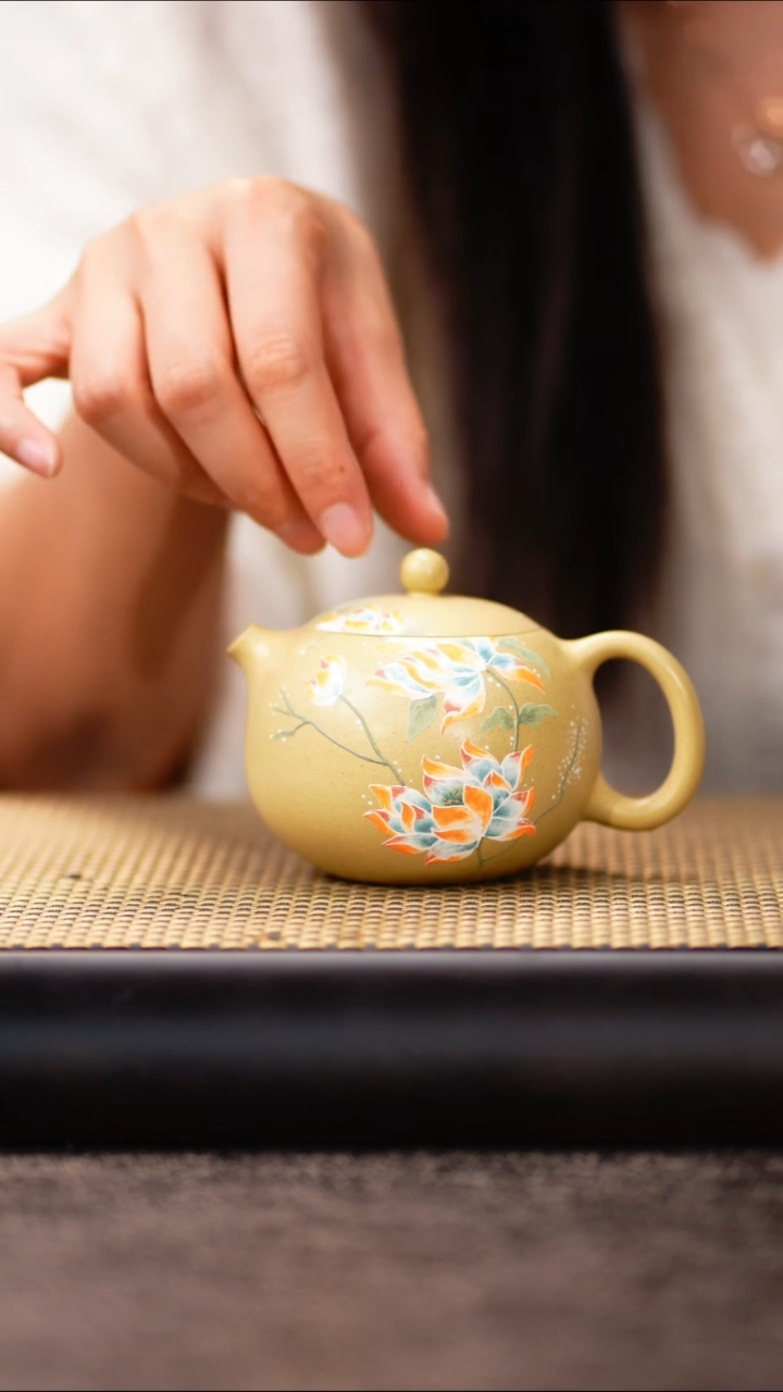 19小鱼本绿荷花西施