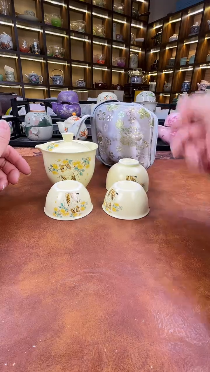 .可爱猫咪旅行套装+猫咪盘