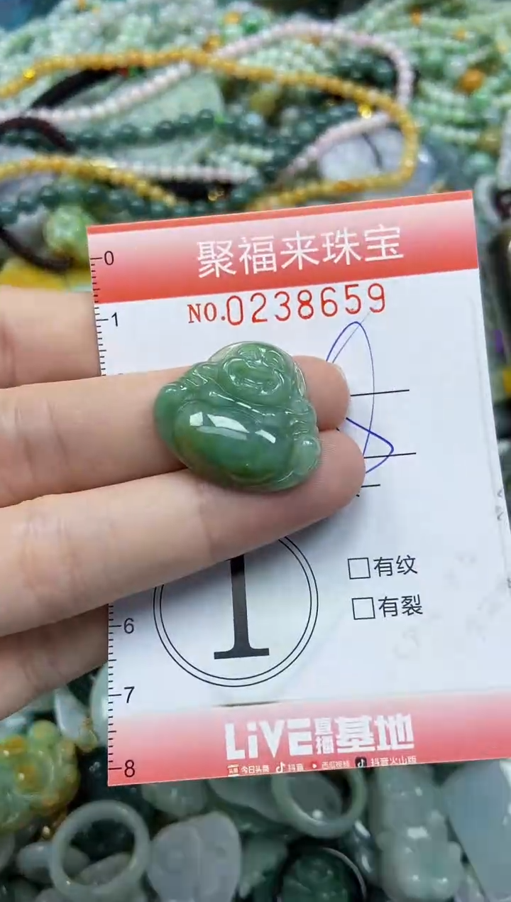 未镶嵌挂件翡翠闪购0238659