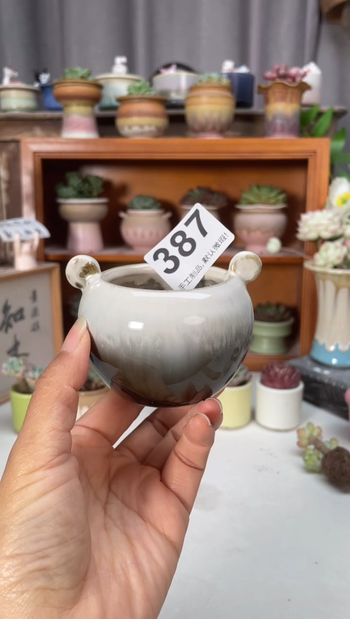 瓷片387小芳直播编号