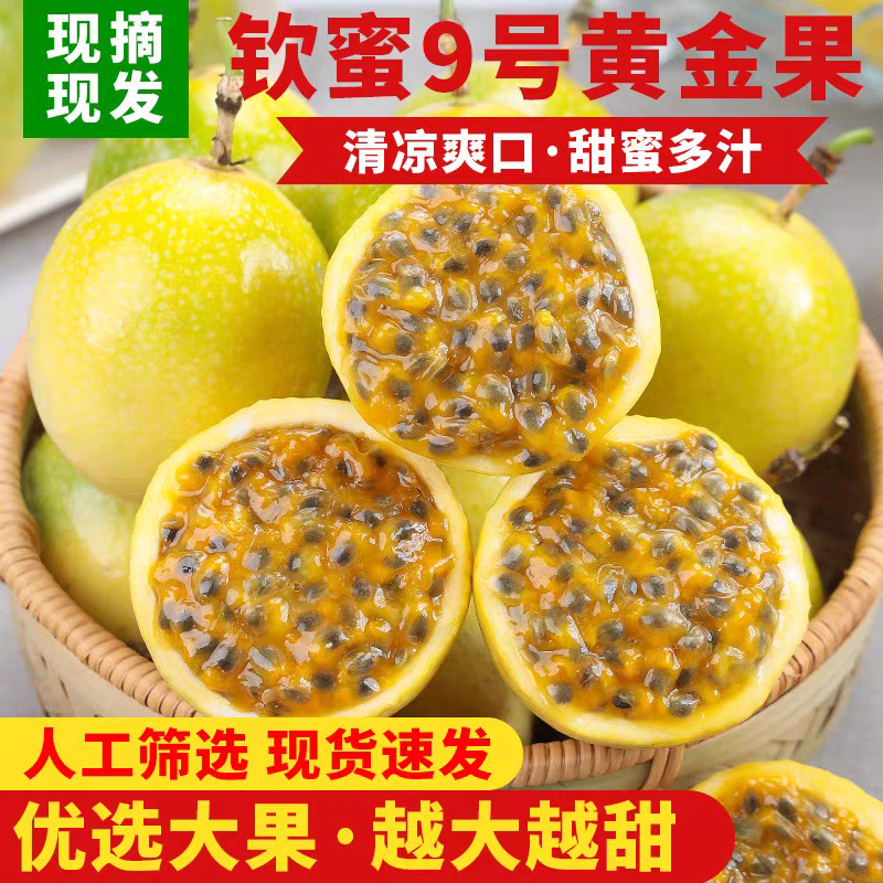 正宗海南钦蜜9号黄金百香果3斤/5斤香甜多汁当季水果新鲜包邮