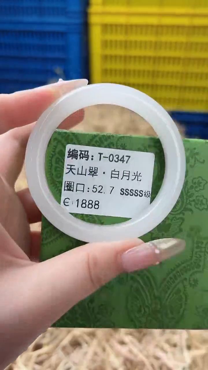 未镶嵌手镯石英质玉T-0347