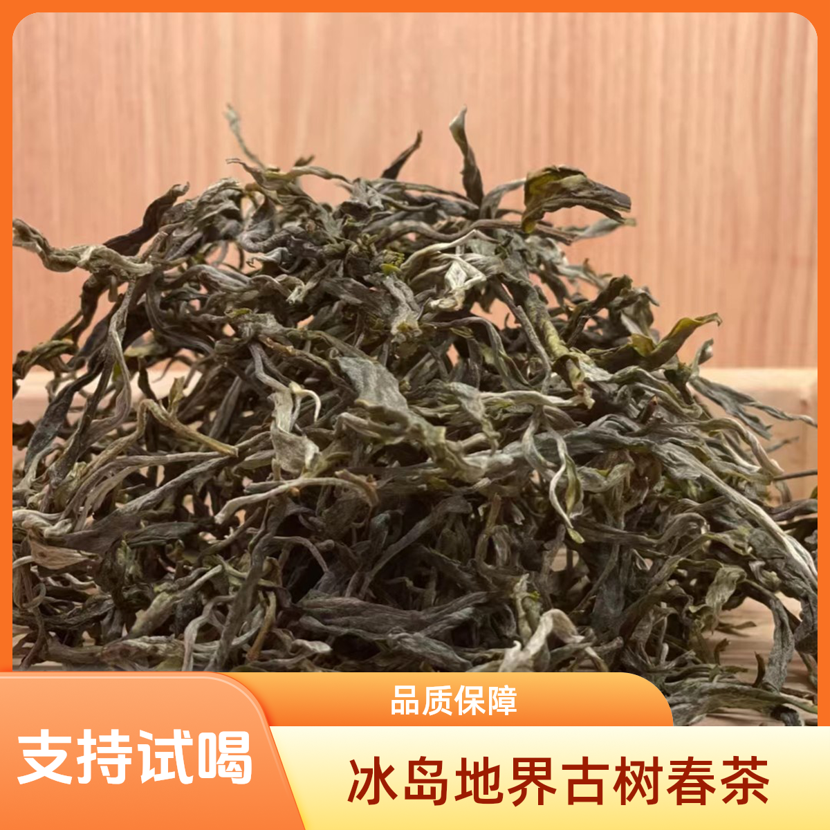 2025年冰岛地界古树茶春茶