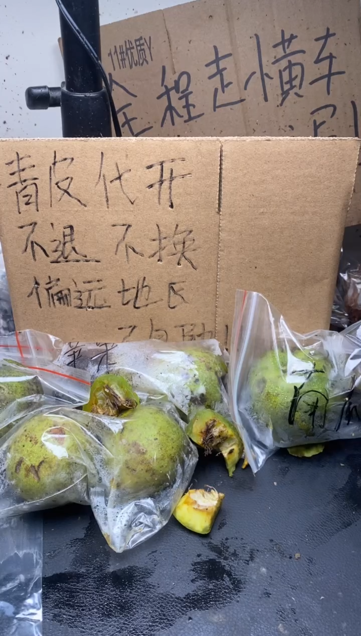 不退不换ZWF四座楼09