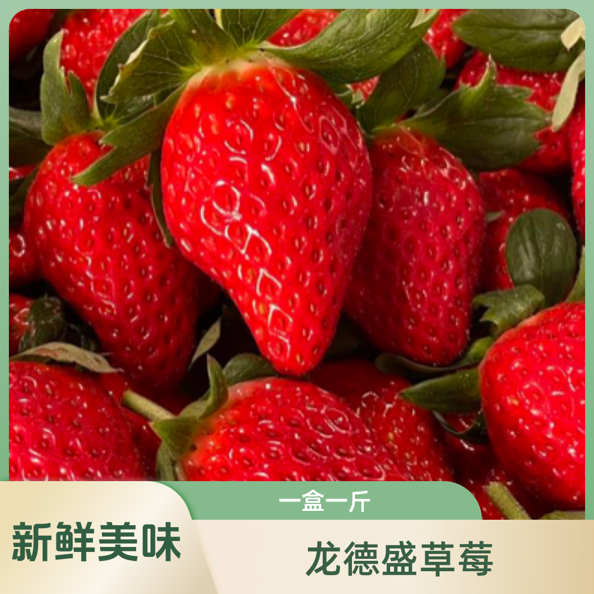 【配送到家】龙德盛奶油草莓1斤装