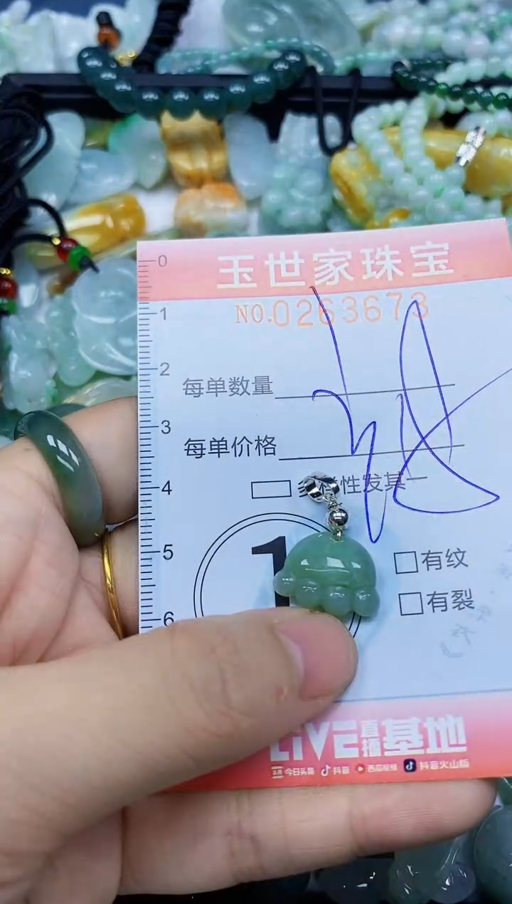 翡翠未镶嵌颈饰闪购0263673