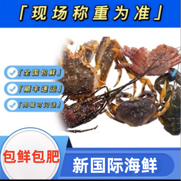【鲜活套餐组合】海产品鲜活组合直播现称为准脱水5%算正常介意勿拍