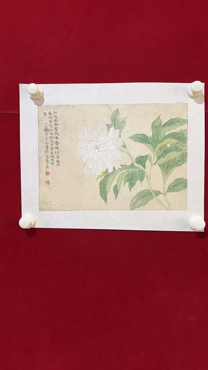 国画妍妍宠粉专场王克花鸟1平尺