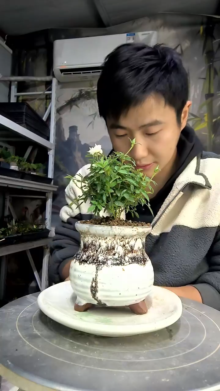 你****呢中青园艺一物一拍花139