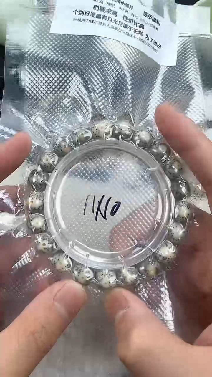 【闪购商品】星月菩提手串31石玉料糯冰单圈11×10高透精工福利