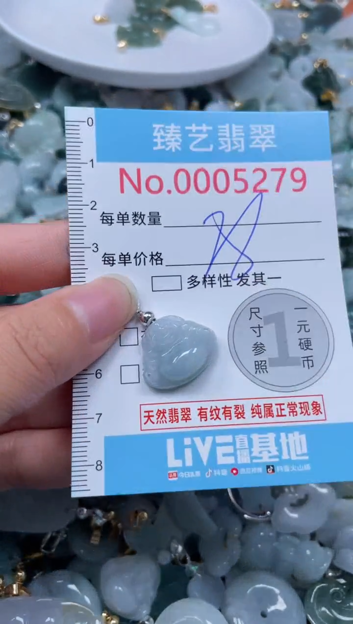 颈饰未镶嵌翡翠5279