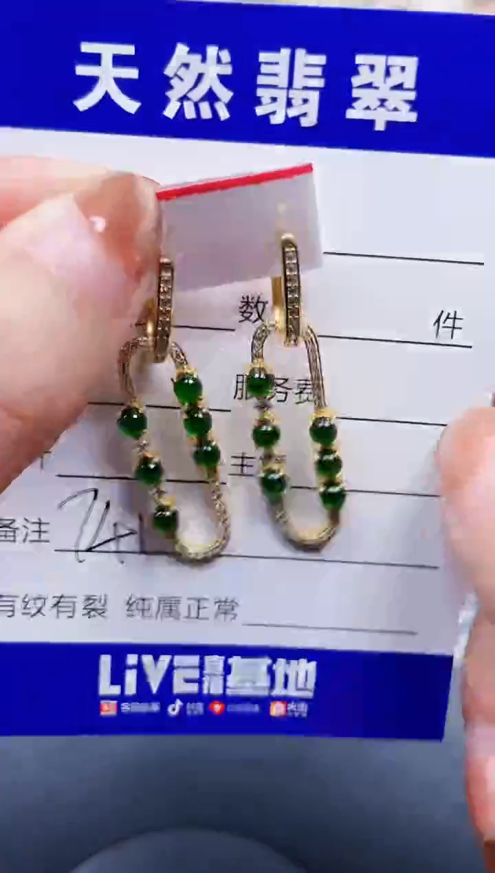 银S925镶嵌翡翠耳饰741