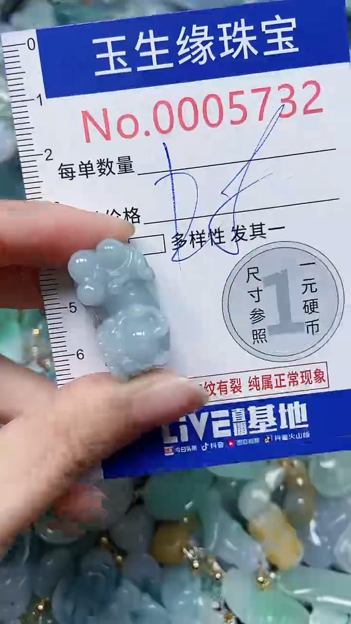 【闪购商品】翡翠颈饰未镶嵌闪购00005732