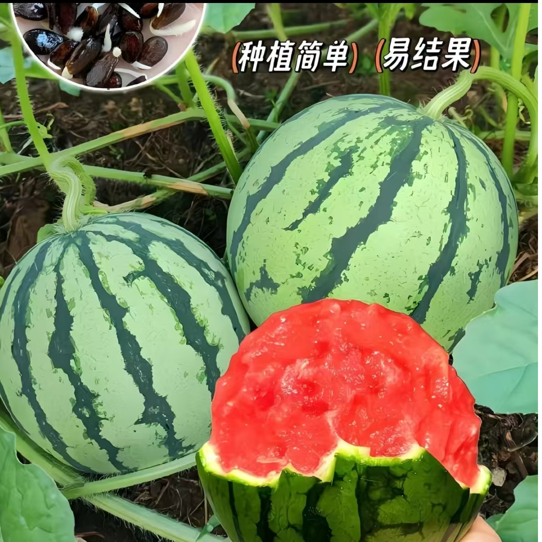 【聚农鲜】西瓜超甜一半河北省