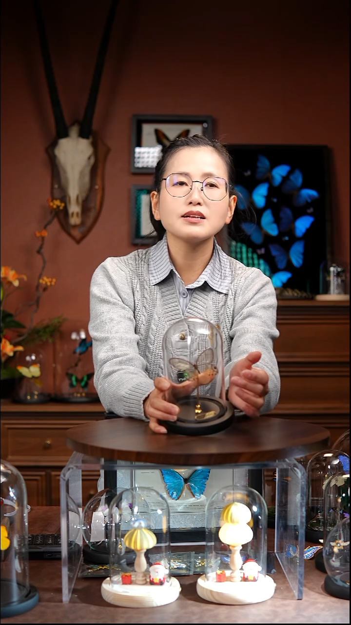 黄晶眼蝶玻璃罩款（常规）