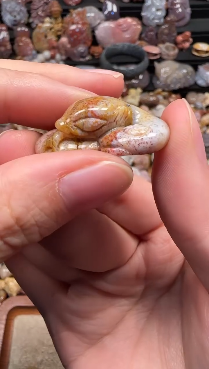 颈饰未镶嵌硅化珊瑚（珊瑚玉）174