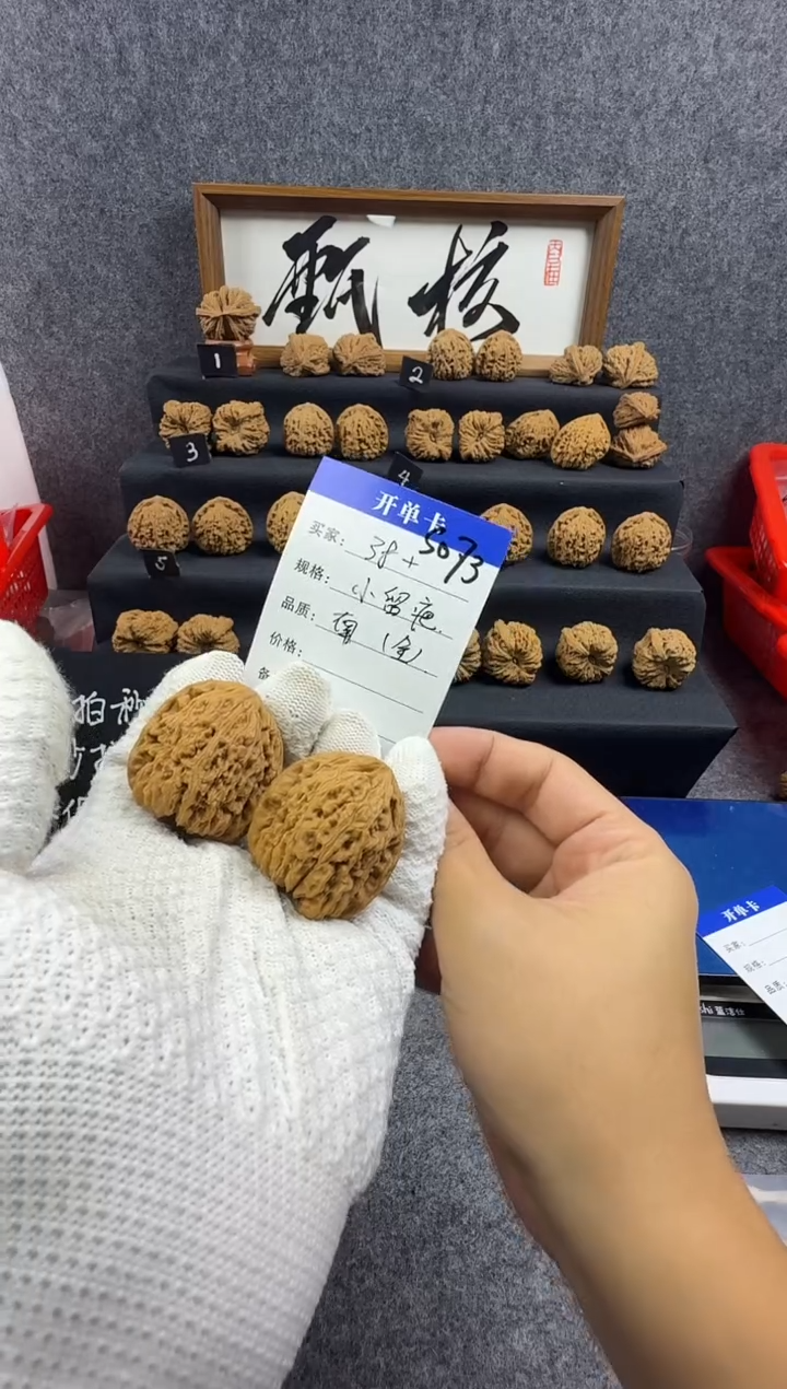 把件文玩核桃S073 小瘤疤