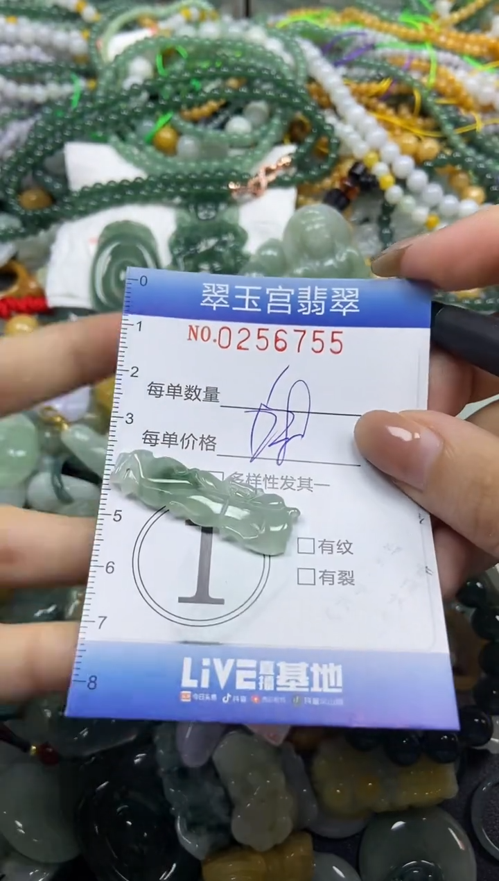 颈饰未镶嵌翡翠闪购C0256755