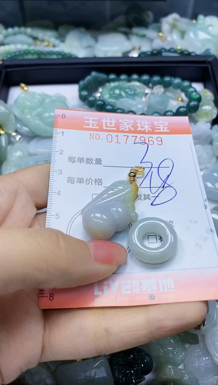 【闪购商品】翡翠颈饰未镶嵌闪购0177969