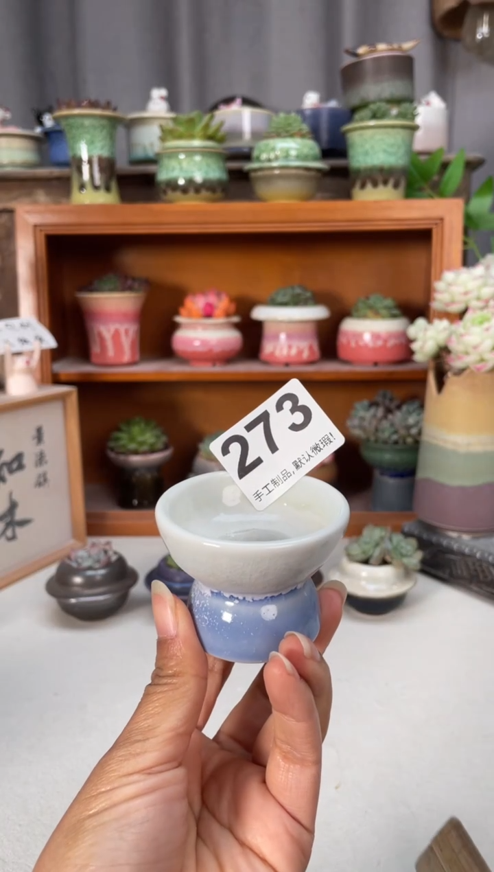 瓷片273知木小芳花盆