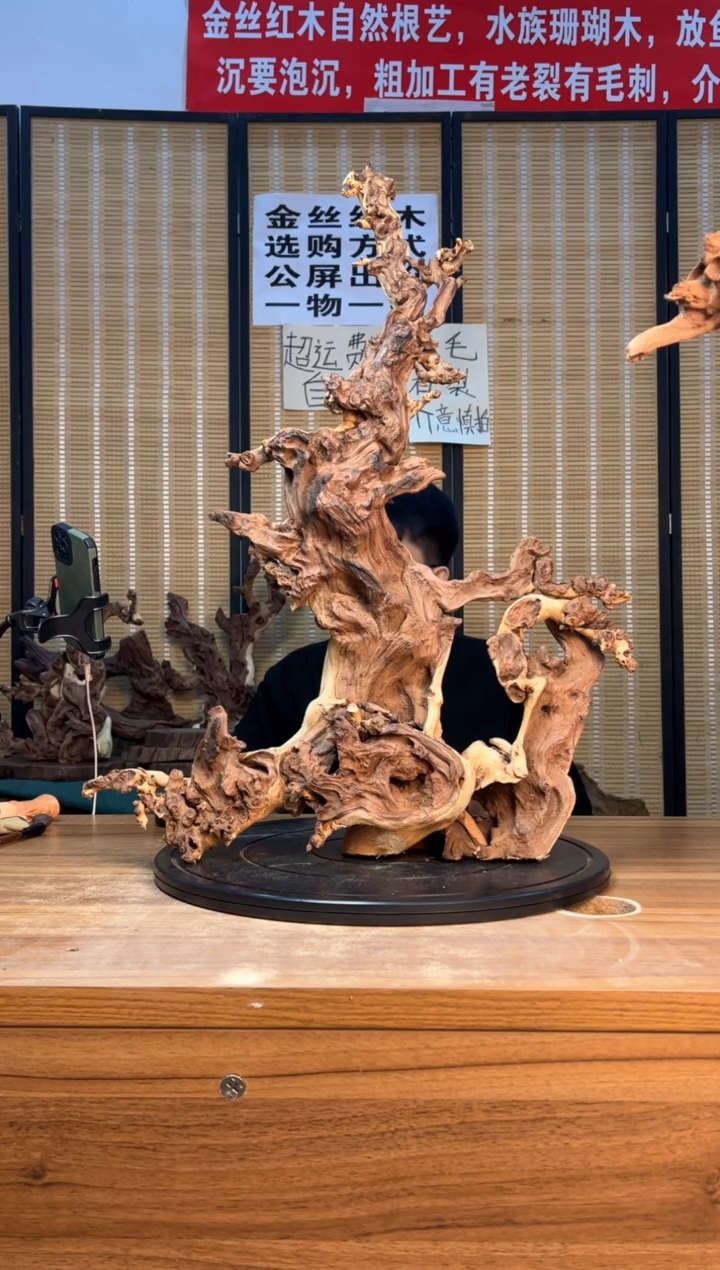 【闪购商品】香榧木云南红河金丝红934