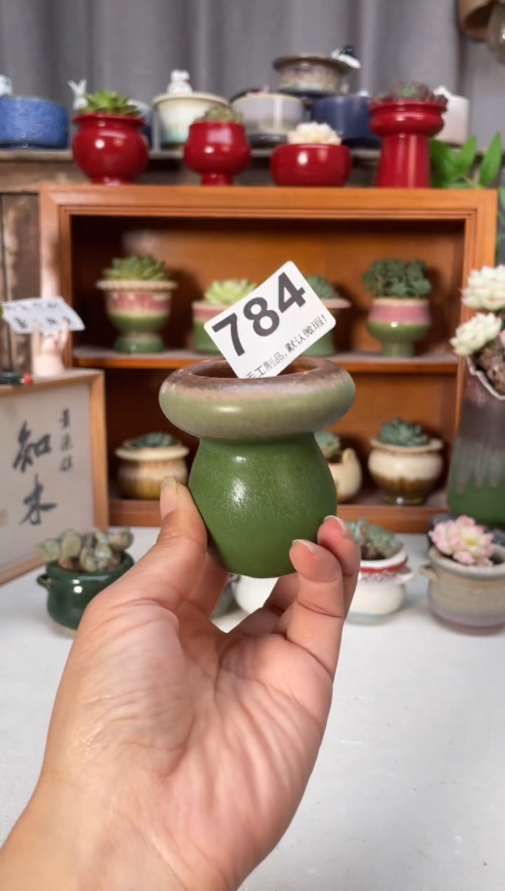 瓷片784小芳直播编号