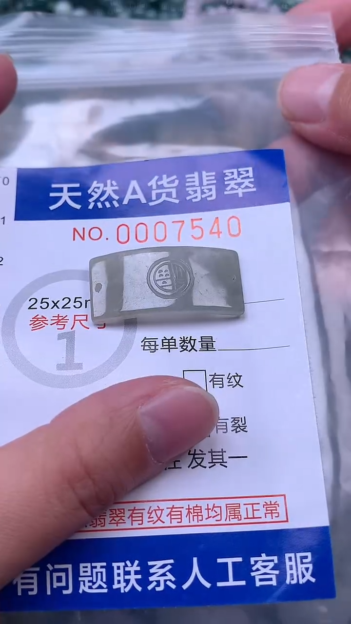 吊坠(赠链)未镶嵌翡翠1