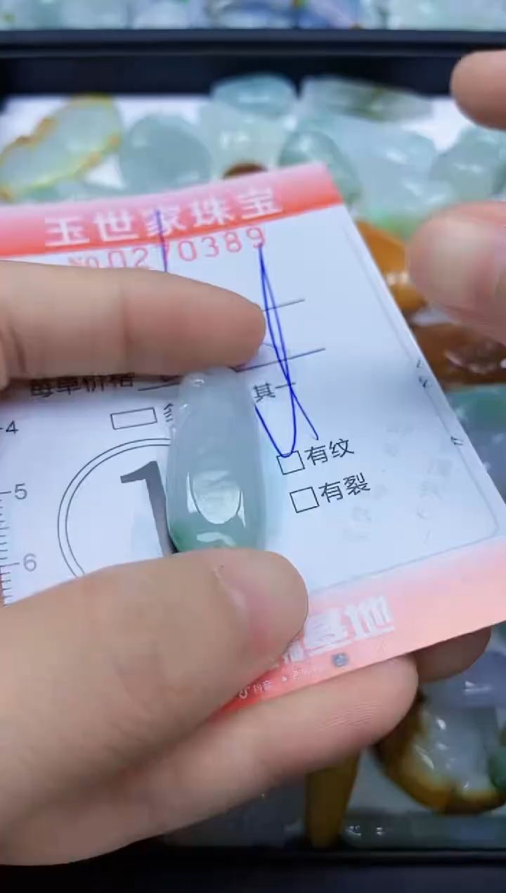 翡翠未镶嵌颈饰闪购0270389